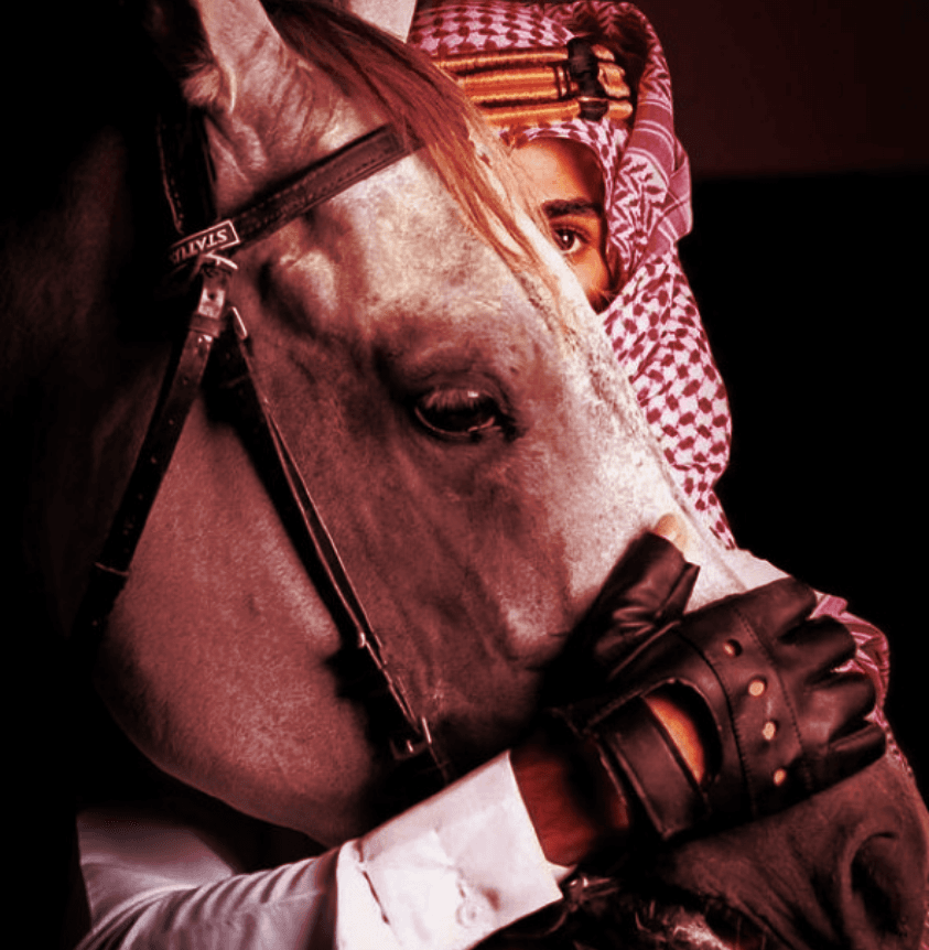 رباط الخيل